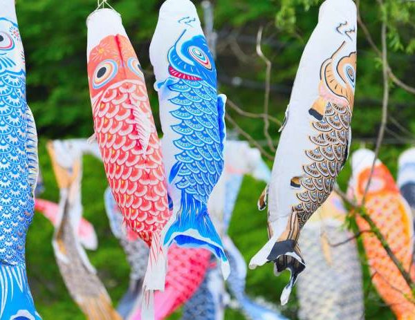 明世町｜市民から寄付された約160匹の鯉が空を泳ぎます｜瑞浪市こいのぼり祭り